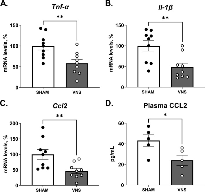 Hepatic stellate cell activation markers are regulated by the vagus nerve in systemic inflammation.