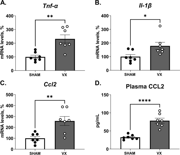 Hepatic stellate cell activation markers are regulated by the vagus nerve in systemic inflammation.