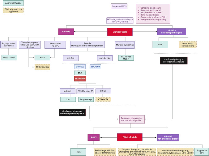 How I Manage Transplant Ineligible Patients with Myelodysplastic Neoplasms.