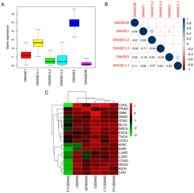 Pan‑cancer analysis of the deoxyribonuclease gene family.