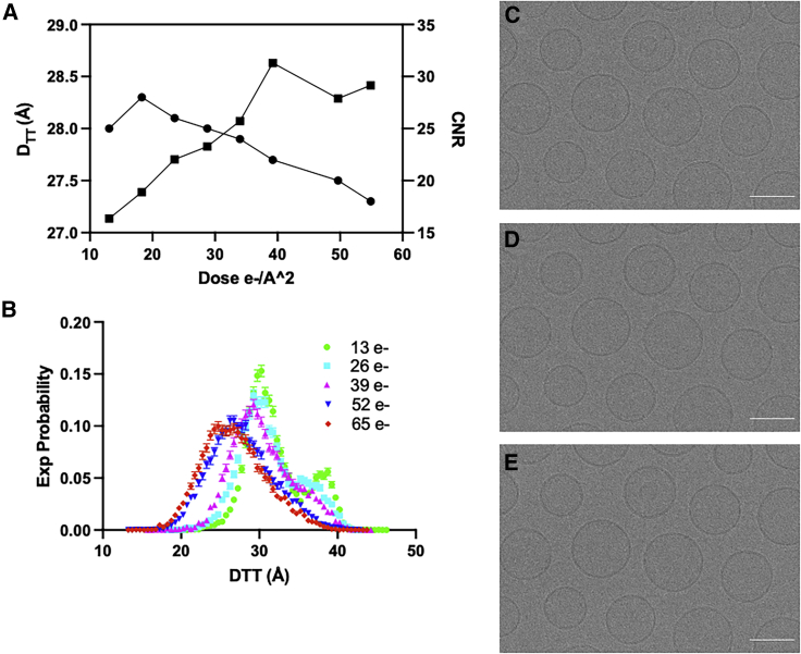 Optimization of cryo-electron microscopy for quantitative analysis of lipid bilayers.