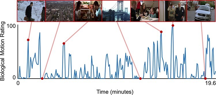 Neural responses to biological motion distinguish autistic and schizotypal traits.