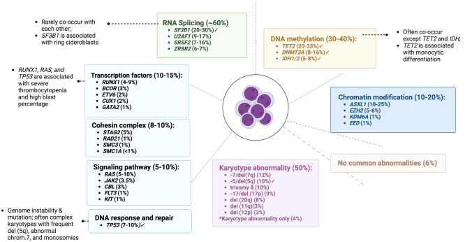 How I Manage Transplant Ineligible Patients with Myelodysplastic Neoplasms.