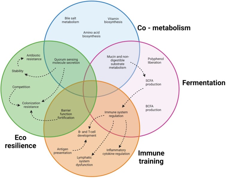 Synthetic microbial communities (SynComs) of the human gut: design, assembly, and applications.