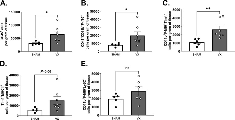 Hepatic stellate cell activation markers are regulated by the vagus nerve in systemic inflammation.