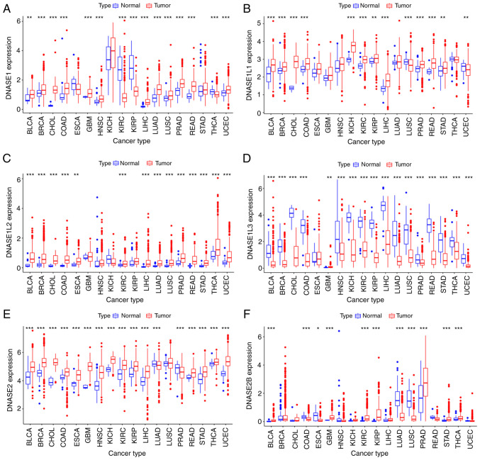 Pan‑cancer analysis of the deoxyribonuclease gene family.