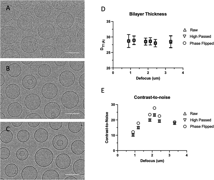 Optimization of cryo-electron microscopy for quantitative analysis of lipid bilayers.