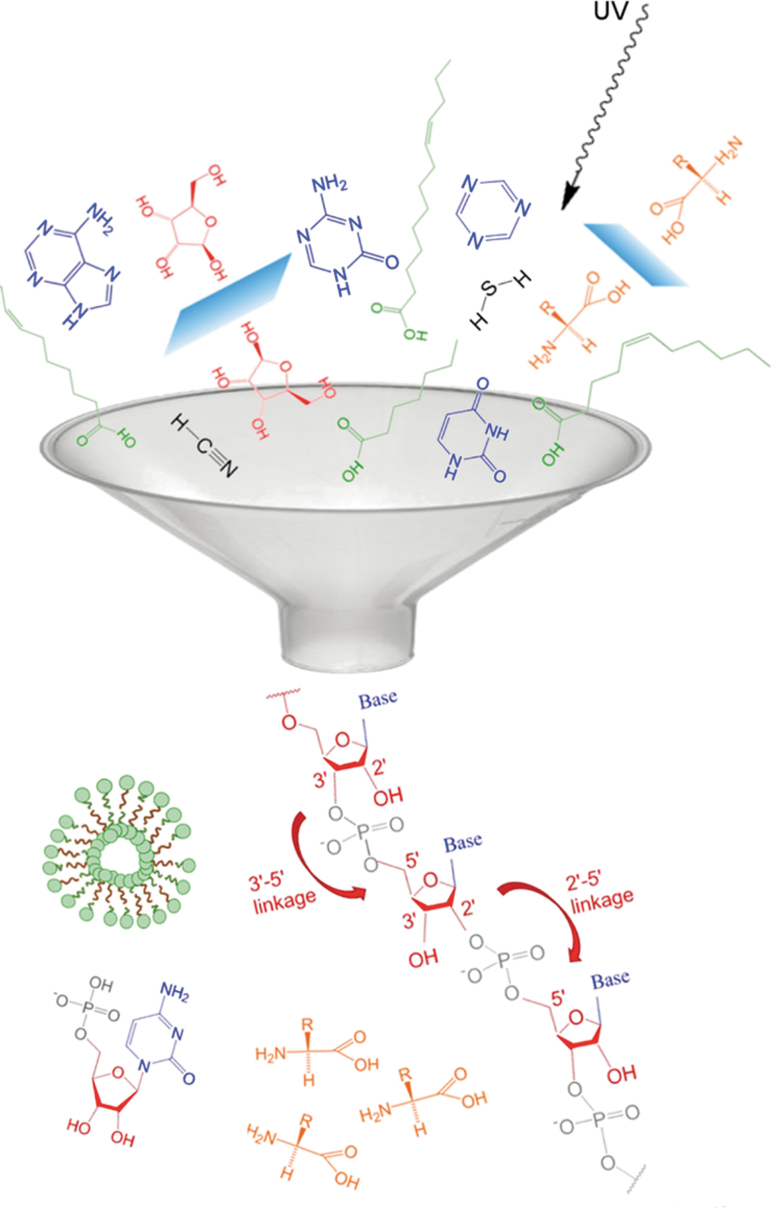 Exploring the Lipid World Hypothesis: A Novel Scenario of Self-Sustained Darwinian Evolution of the Liposomes.