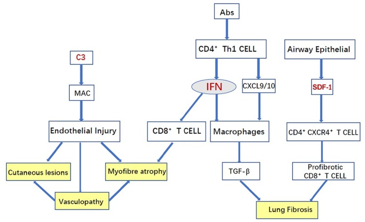 Predictors of progression in idiopathic inflammatory myopathies with interstitial lung disease.