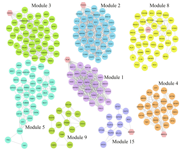 Prognostic biomarkers and molecular pathways mediating Helicobacter pylori-induced gastric cancer: a network-biology approach.