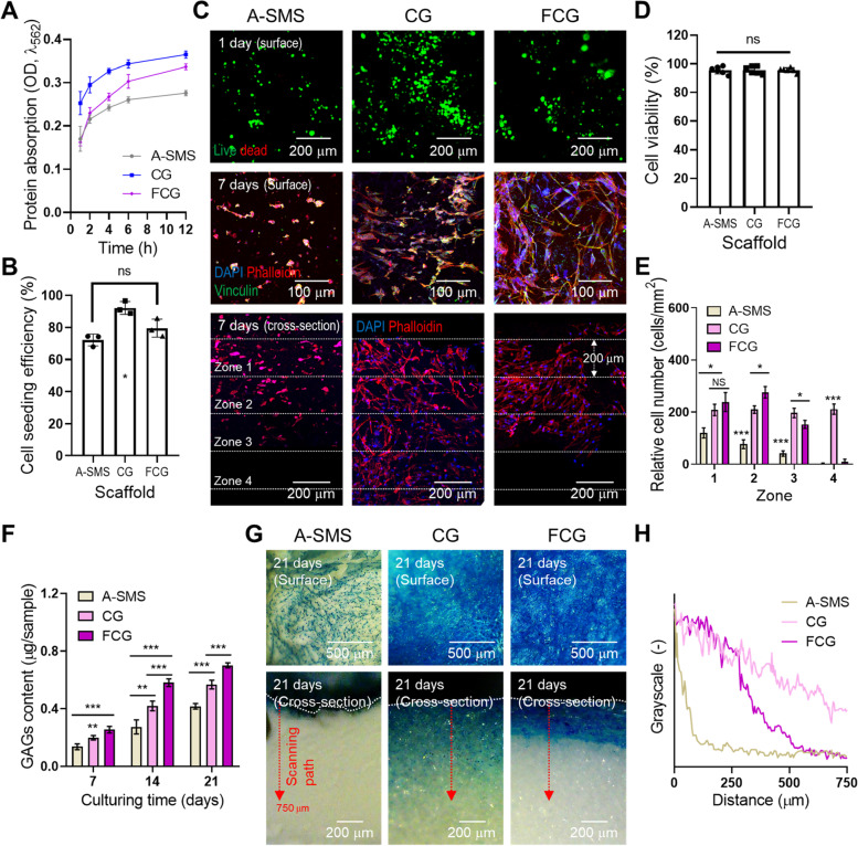 Shape-memory collagen scaffold combined with hyaluronic acid for repairing intervertebral disc.