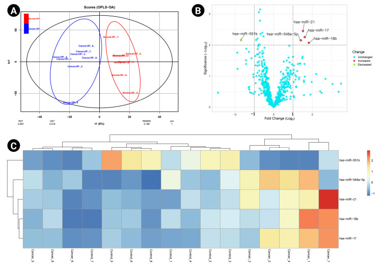 Prognostic biomarkers and molecular pathways mediating Helicobacter pylori-induced gastric cancer: a network-biology approach.