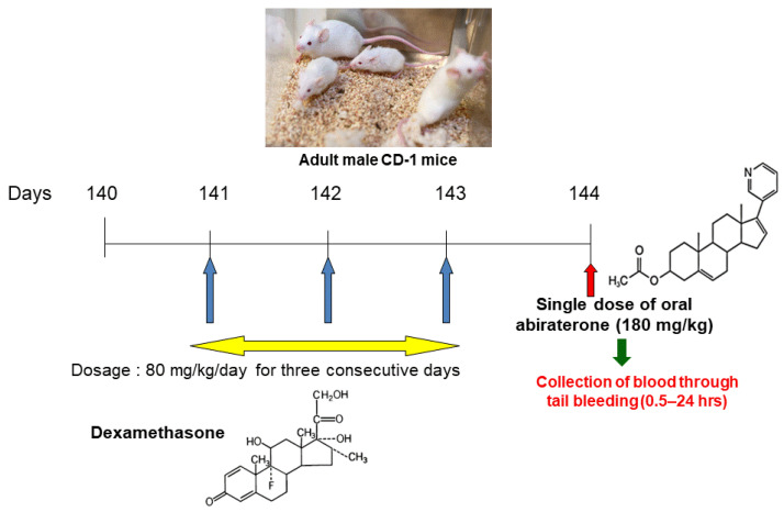 Effect of Dexamethasone on Abiraterone Pharmacokinetics in Mice: Determined by LC/MS Analysis.