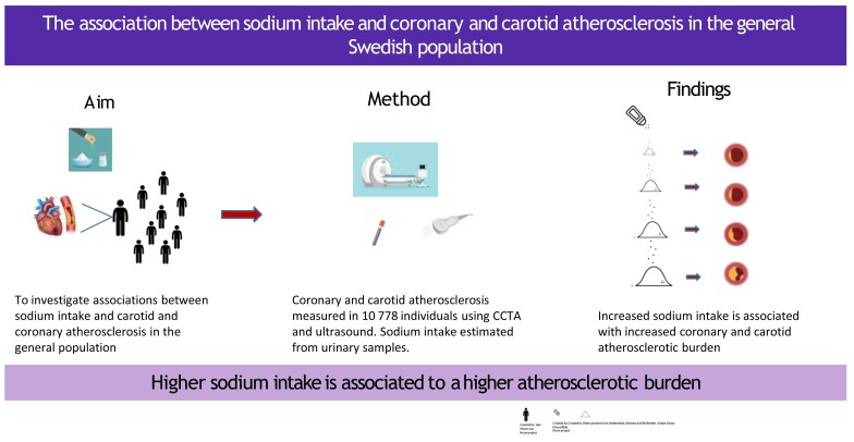 The association between sodium intake and coronary and carotid atherosclerosis in the general Swedish population.