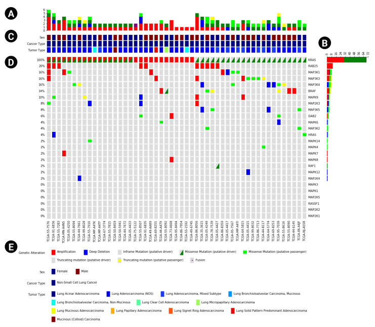 PyOncoPrint: a python package for plotting OncoPrints.