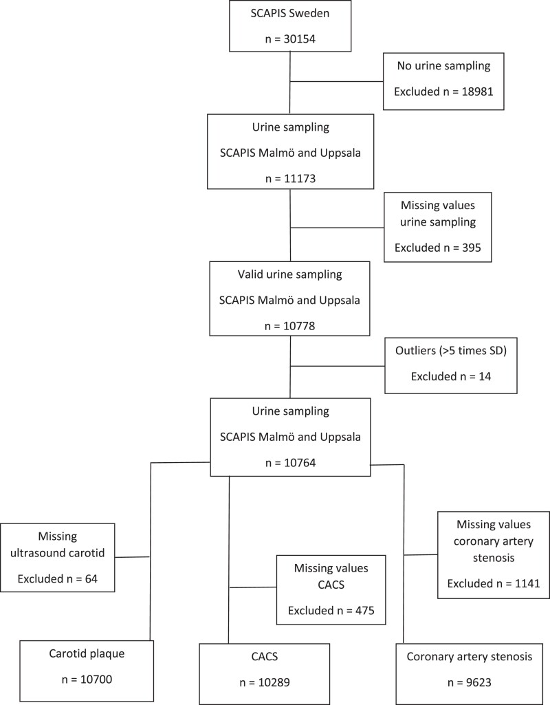 The association between sodium intake and coronary and carotid atherosclerosis in the general Swedish population.