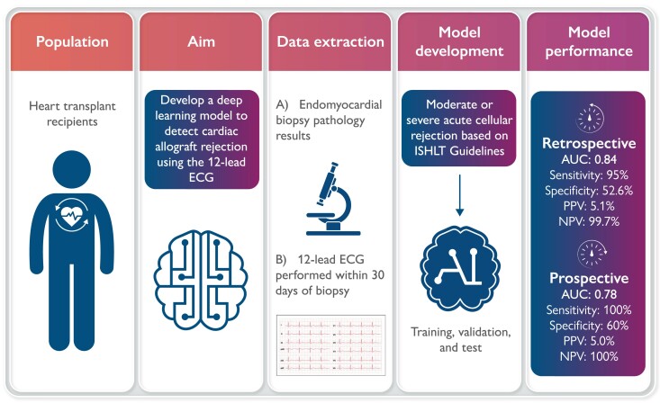 Non-invasive detection of cardiac allograft rejection among heart transplant recipients using an electrocardiogram based deep learning model.