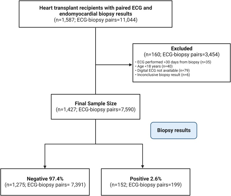 Non-invasive detection of cardiac allograft rejection among heart transplant recipients using an electrocardiogram based deep learning model.