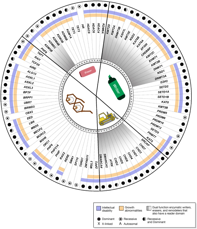 Five years of experience in the Epigenetics and Chromatin Clinic: what have we learned and where do we go from here?