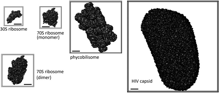 Molecular size dependence on achievable resolution from XFEL single-particle 3D reconstruction.