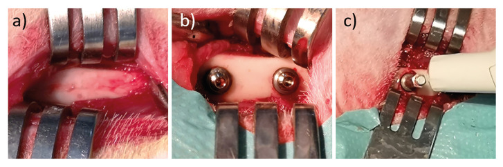 Thermal necrosis-aided dental implant removal: A rabbit model pilot study.