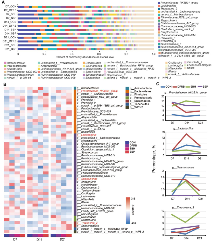 Time-course effects of different fiber-rich ingredients on energy values, microbiota composition and SCFA profile in growing pigs