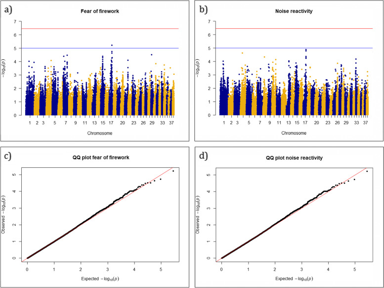 Genomic analysis of firework fear and noise reactivity in standard poodles.