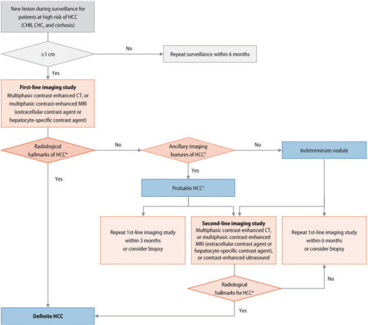 2022 KLCA-NCC Korea practice guidelines for the management of hepatocellular carcinoma.