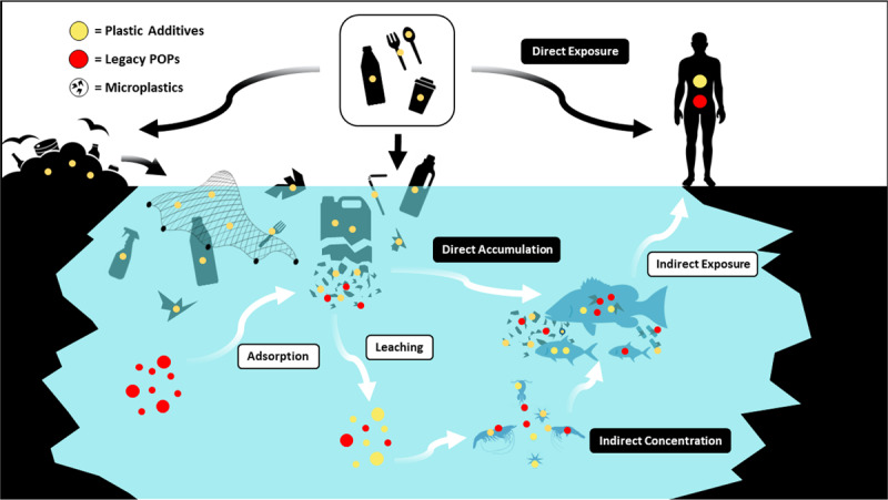 The Minderoo-Monaco Commission on Plastics and Human Health.