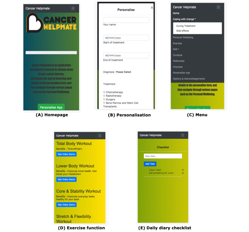 Developing an e-Prehabilitation System of Care for Young Adults Diagnosed With Cancer: User-Centered Design Study.