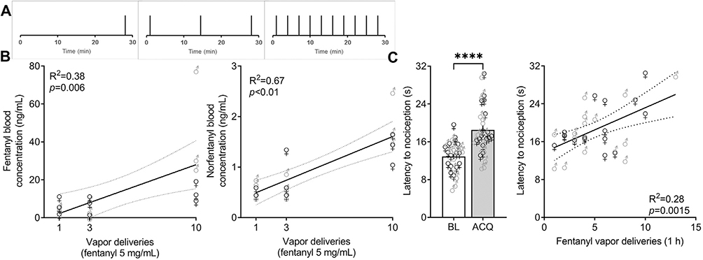 Extended access to fentanyl vapor self-administration leads to addiction-like behaviors in mice: Blood chemokine/cytokine levels as potential biomarkers