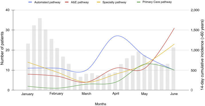 Mild SARS-CoV-2 infection in vulnerable patients: implementation of a clinical pathway for early treatment