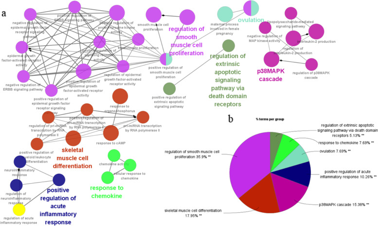 Identification of the shared genes and immune signatures between systemic lupus erythematosus and idiopathic pulmonary fibrosis.