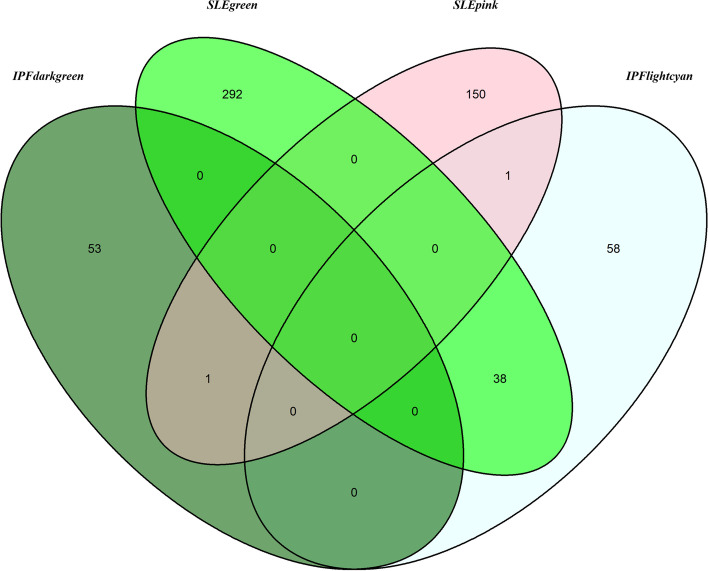 Identification of the shared genes and immune signatures between systemic lupus erythematosus and idiopathic pulmonary fibrosis.