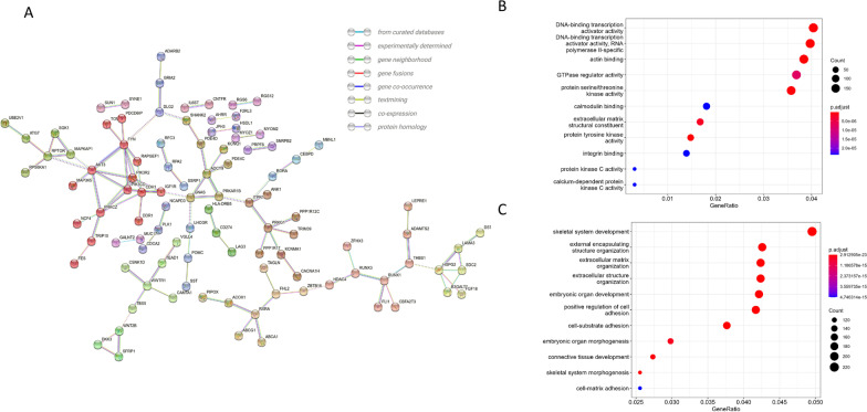 DNA methylation and cardiovascular disease in humans: a systematic review and database of known CpG methylation sites.