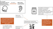 Can non-typeable <i>Haemophilus influenzae</i> carriage surveillance data infer antimicrobial resistance associated with otitis media?