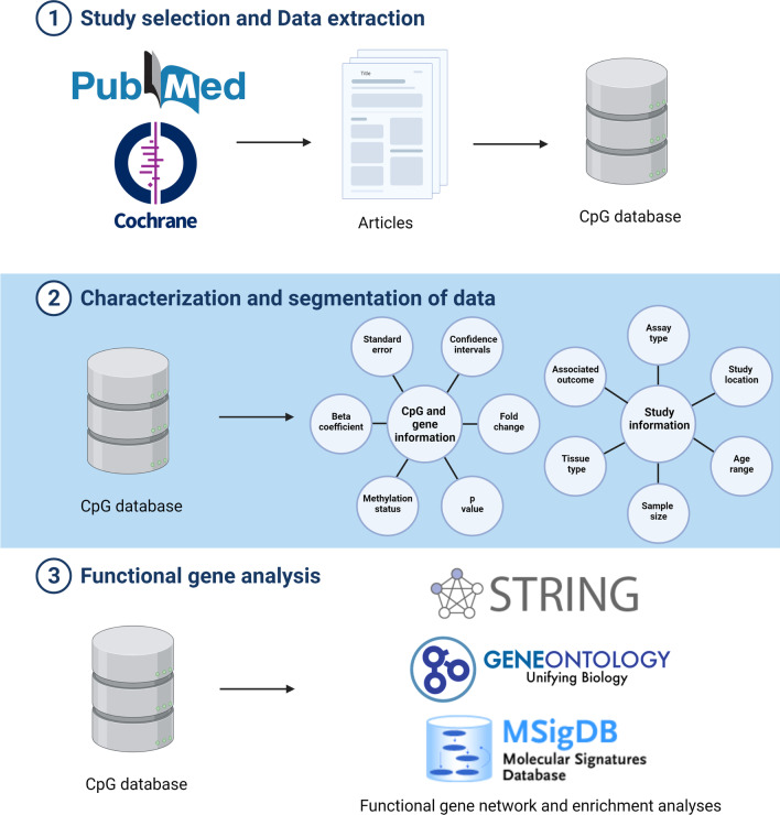 DNA methylation and cardiovascular disease in humans: a systematic review and database of known CpG methylation sites.