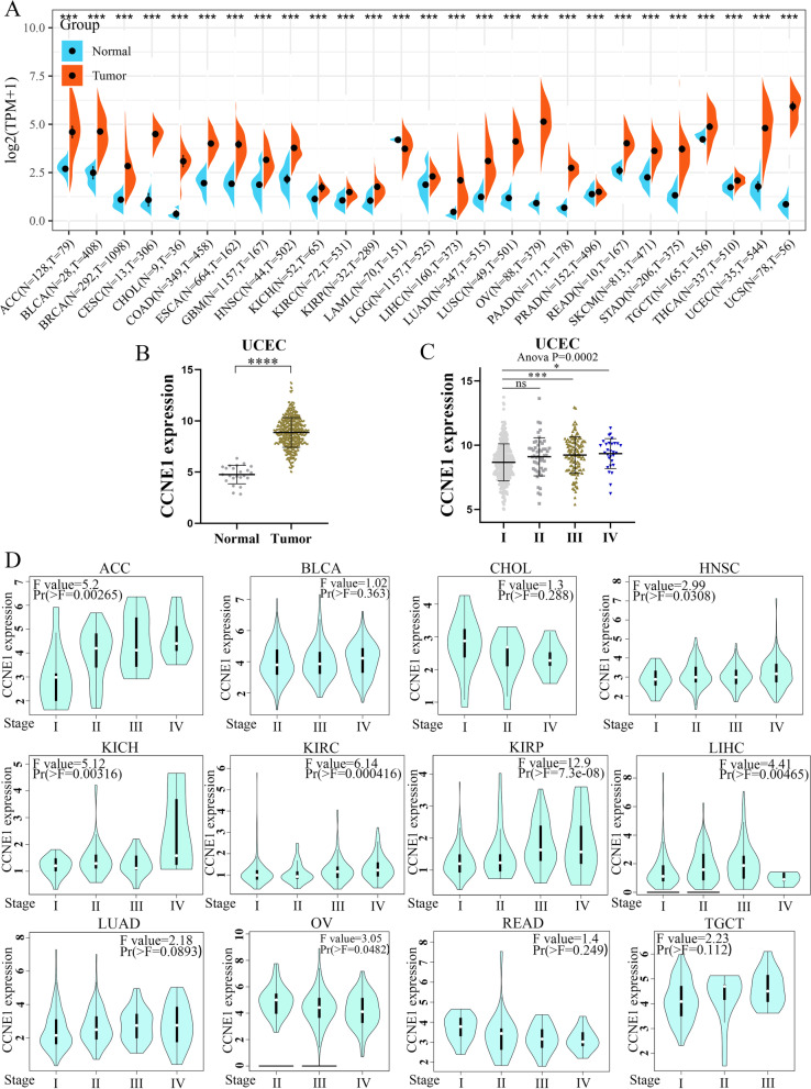 CCNE1 is a predictive and immunotherapeutic indicator in various cancers including UCEC: a pan-cancer analysis.