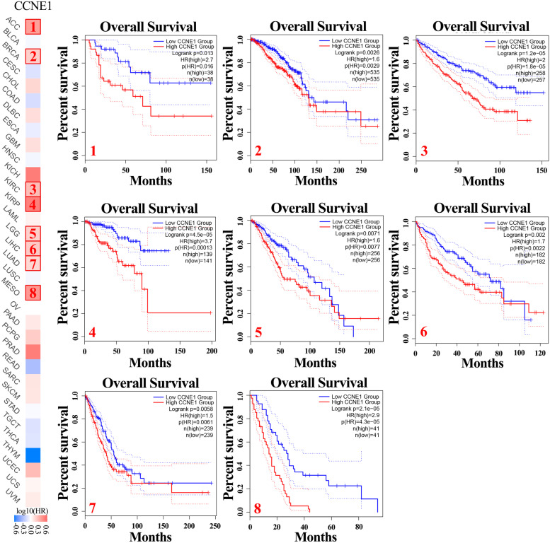 CCNE1 is a predictive and immunotherapeutic indicator in various cancers including UCEC: a pan-cancer analysis.