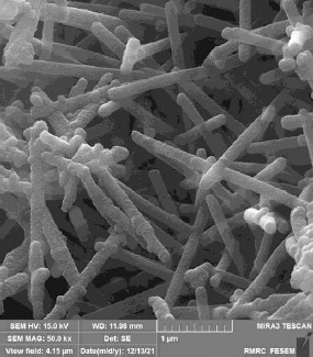 Voltammetric determination of hydrochlorothiazide at a modified carbon paste electrode with polypyrrole nanotubes.