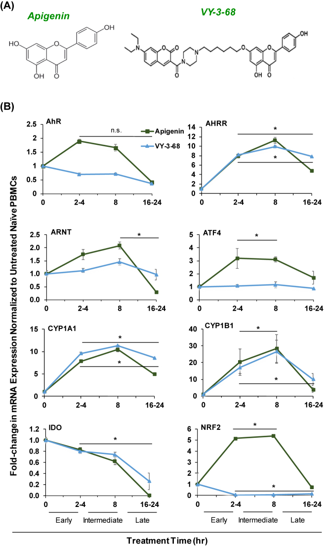 Apigenin improves cytotoxicity of antiretroviral drugs against HTLV-1 infected cells through the modulation of AhR signaling.