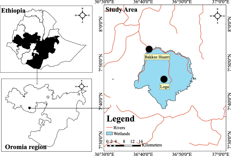 Comparison of bird assemblage structures and diversity patterns between seasons among two Ethiopian wetlands.