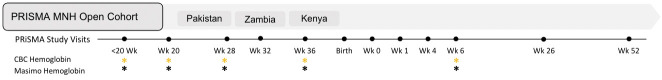 Comparison of Masimo Total Hemoglobin SpHb® continuous non-invasive hemoglobin monitoring device with laboratory complete blood count measurement using venous sample: Protocol for an observational substudy of the Pregnancy Risk and Infant Surveillance and Measurement Alliance Maternal and Newborn Health (PRISMA MNH) study.