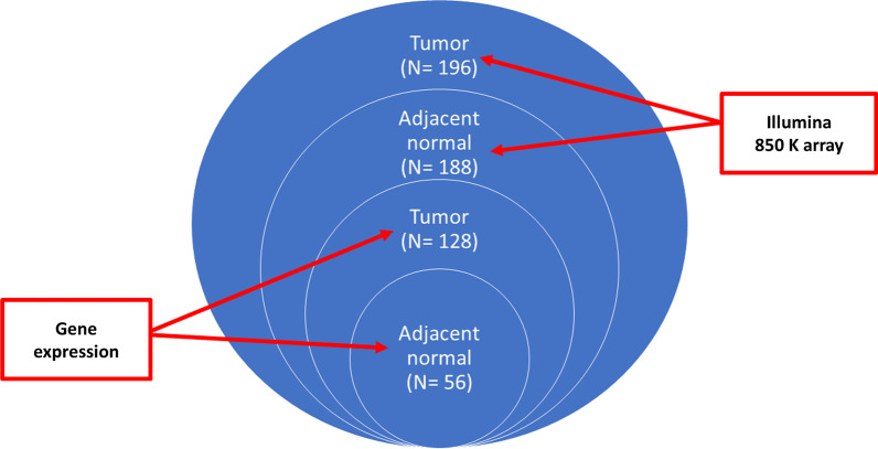 DNA methylation age in paired tumor and adjacent normal breast tissue in Chinese women with breast cancer.