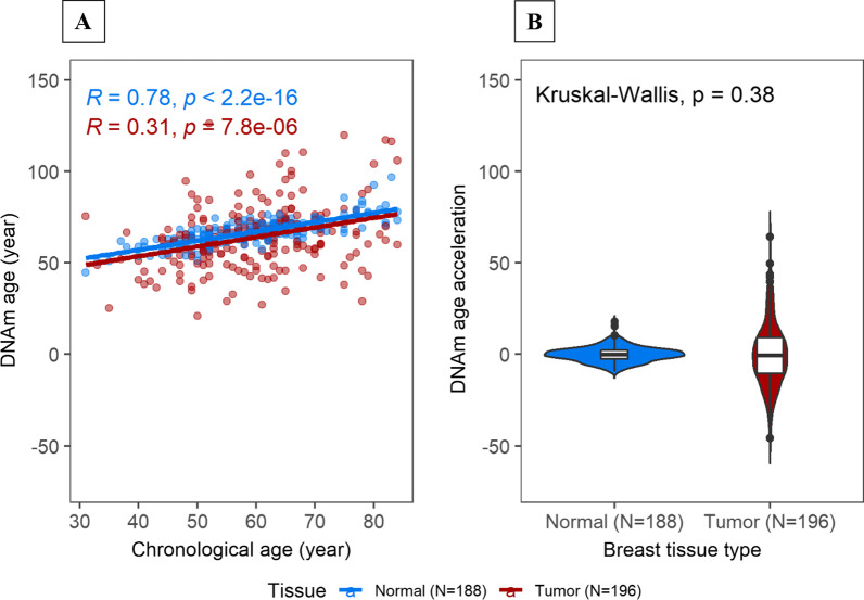 DNA methylation age in paired tumor and adjacent normal breast tissue in Chinese women with breast cancer.