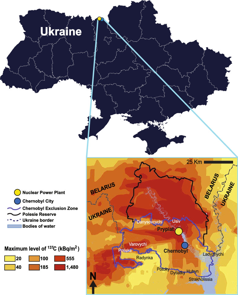 Population dynamics and genome-wide selection scan for dogs in Chernobyl.