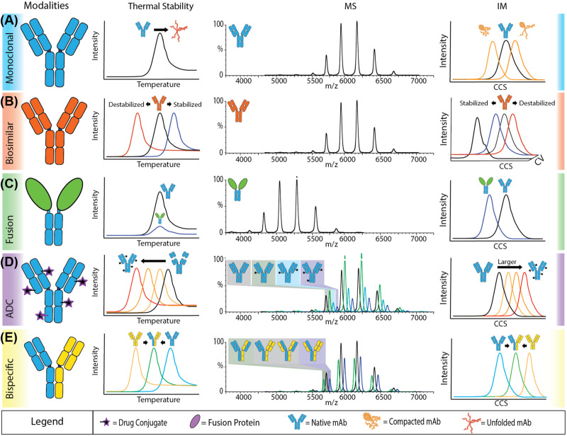 Mass spectrometric insights into protein aggregation.