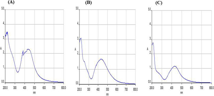 Insight study on synthesis and antibacterial mechanism of silver nanoparticles prepared from indigenous plant source of Jharkhand.