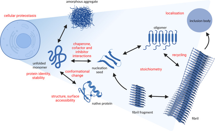 Mass spectrometric insights into protein aggregation.