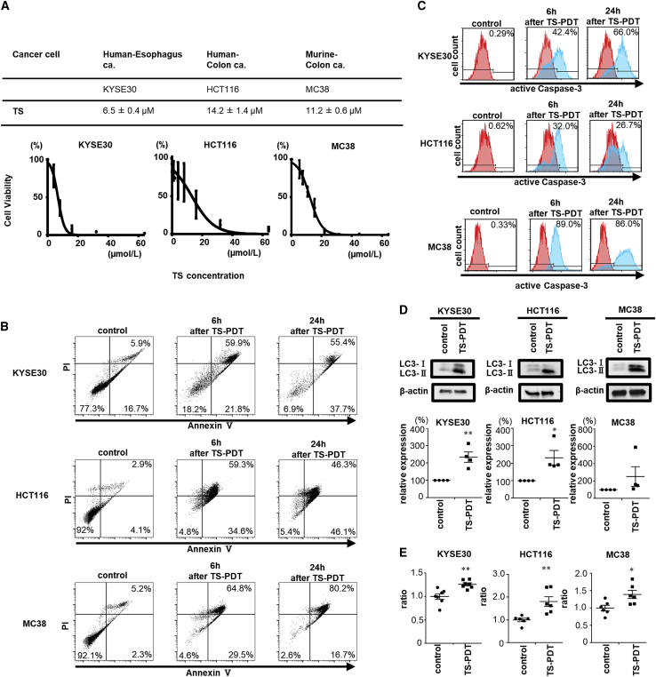 Anti-tumor immunity enhancement by photodynamic therapy with talaporfin sodium and anti-programmed death 1 antibody.